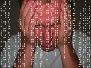 La seguretat i la privacitat / La seguridad i la privacidad
